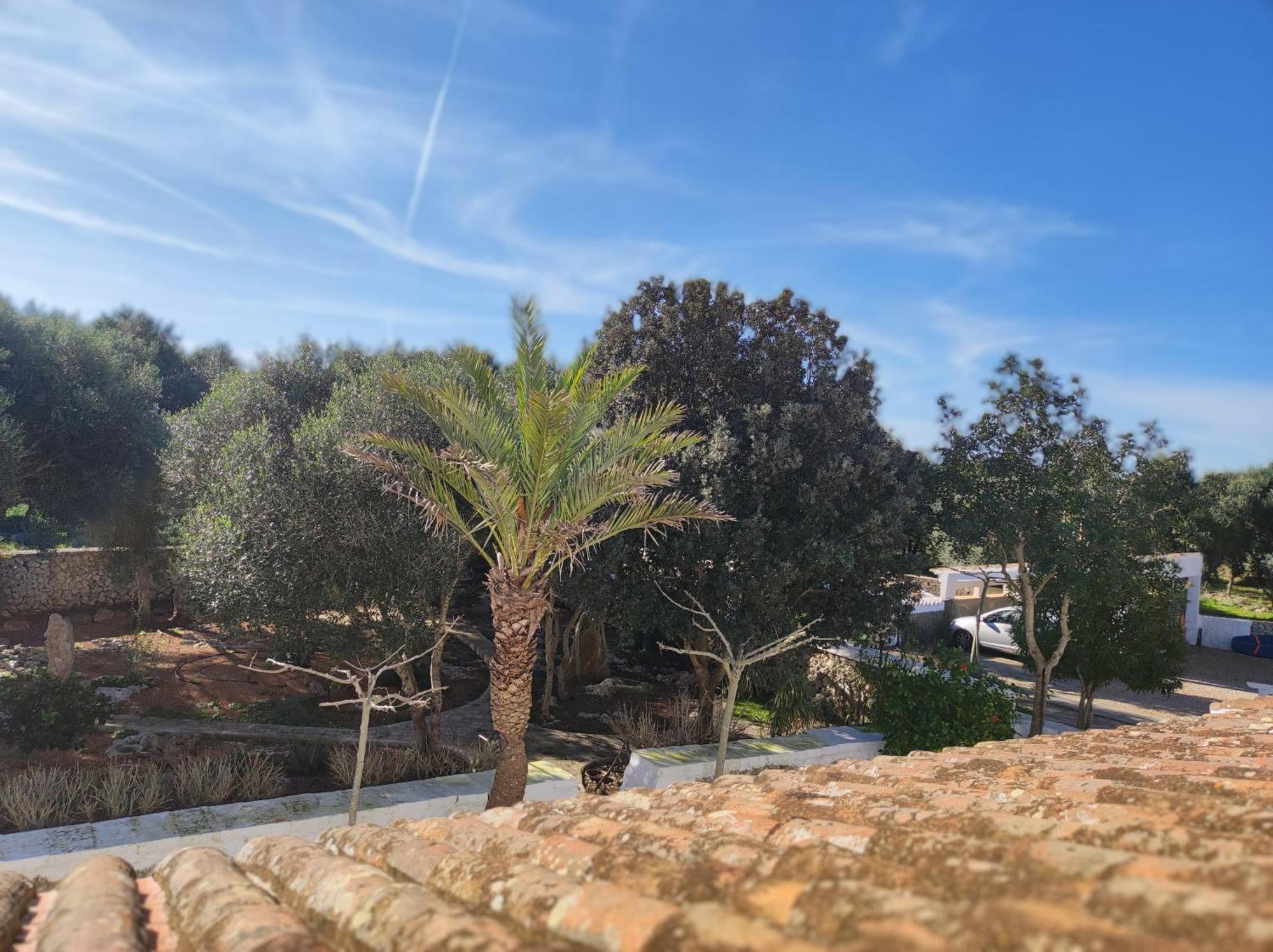 Turismo Rural Biniati Des Pi Sant Lluís Eksteriør bilde